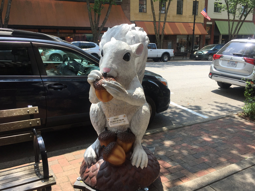 White Squirrel Festival! White Squirrel Shoppe