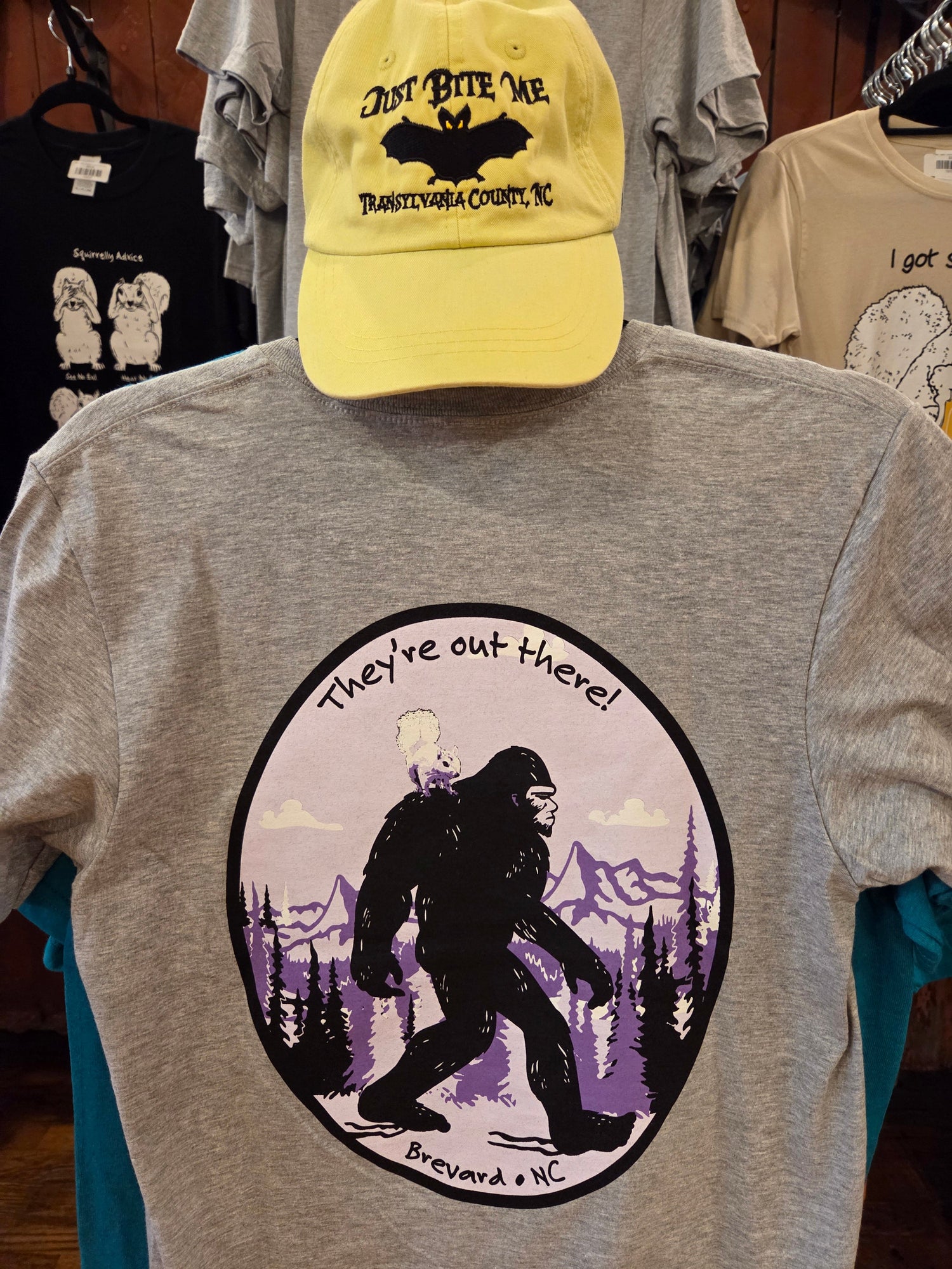 Transylvania County Bat & Sasquatch Merchandise