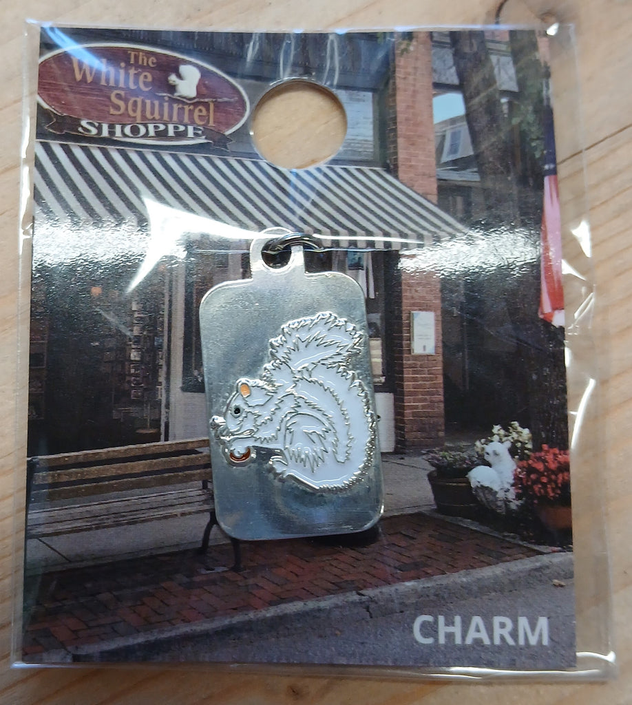 Jewelry - Charm - White Squirrel with Silver Background (New)