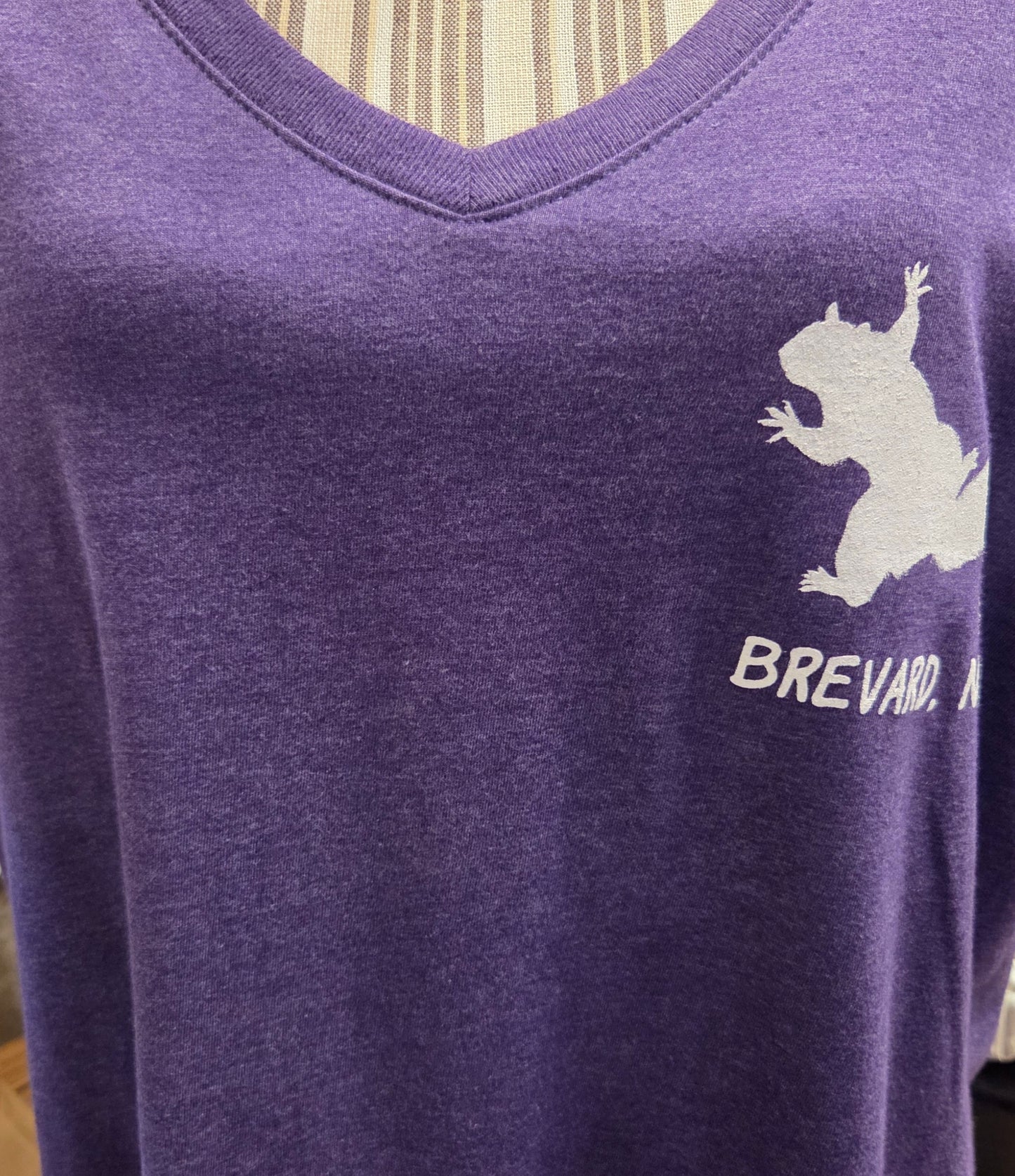 T-Shirt - Women's - I've Got Your Back & Birdseed - Short Sleeve V-Neck in Purple