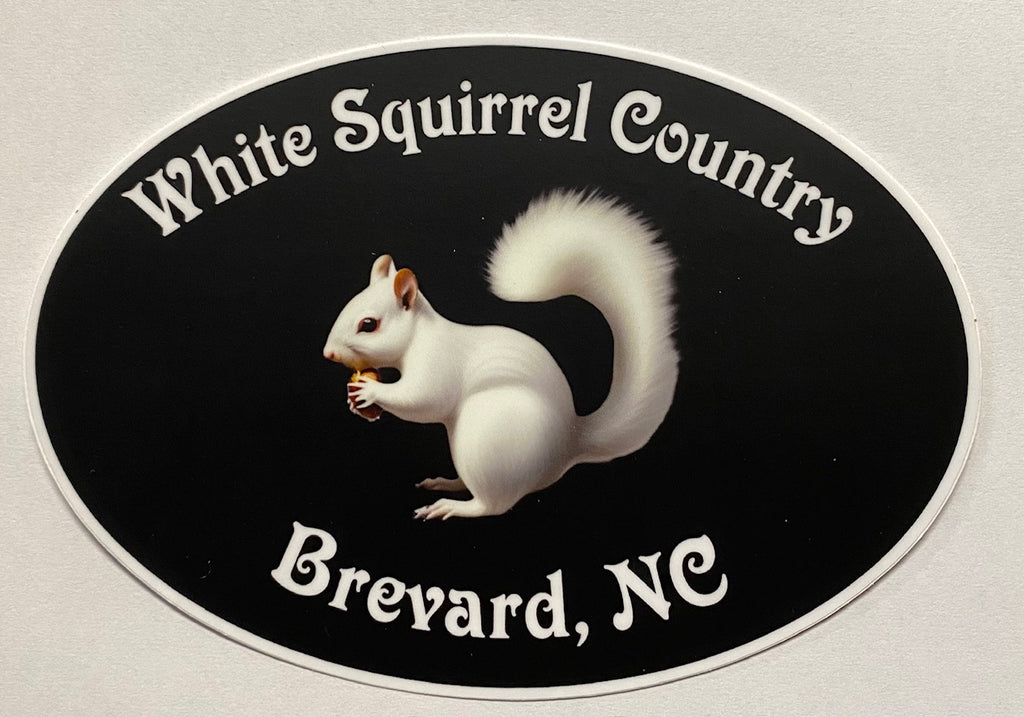 Decal/Sticker - White Squirrel Country, Brevard, NC" - Large Black Oval - Waterproof
