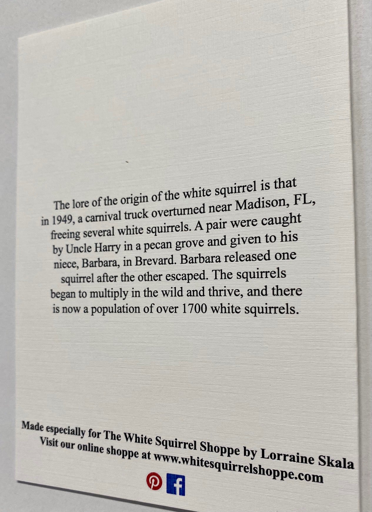 Notecards - White Squirrel Notecards by Lorraine Skala