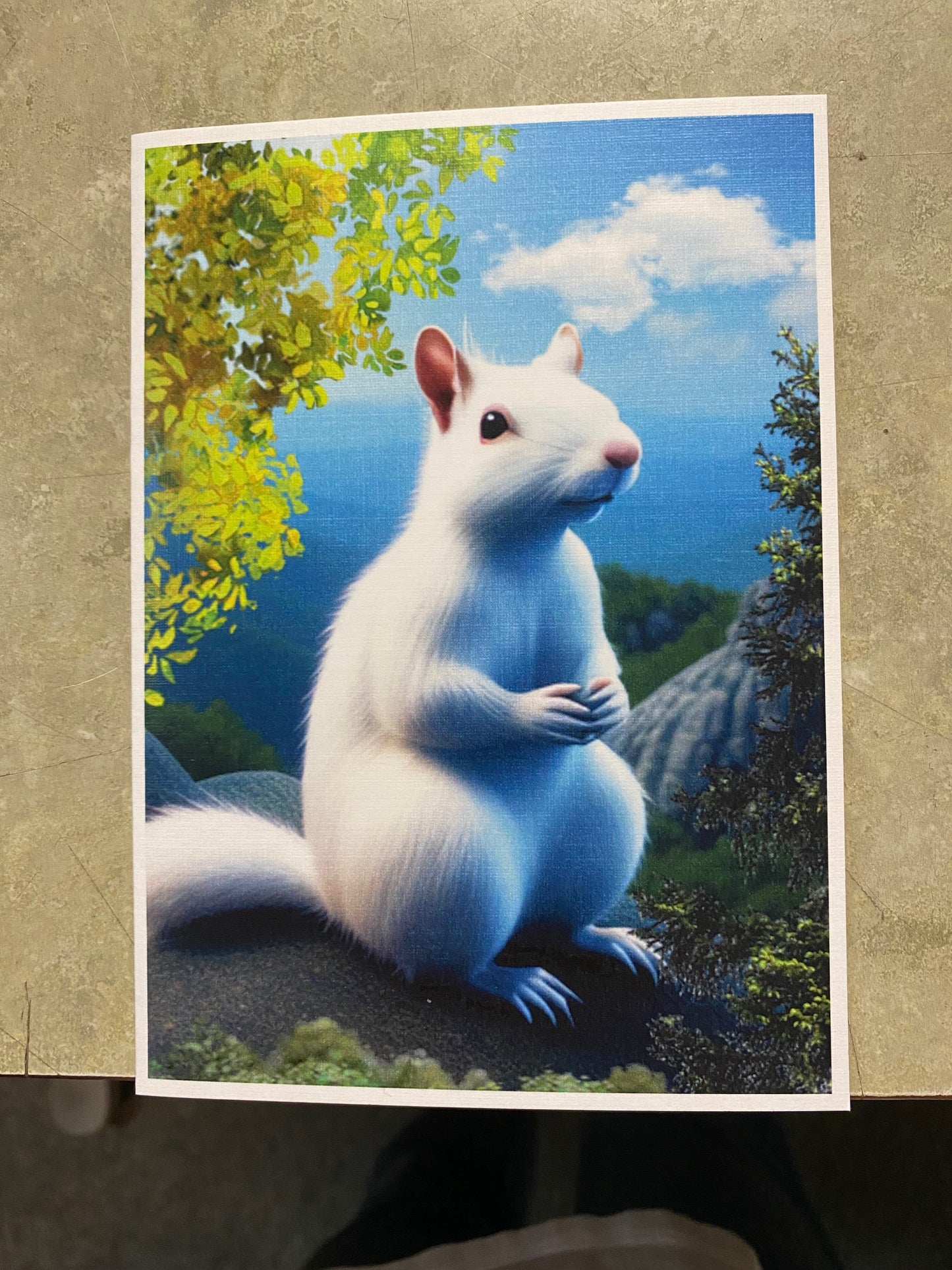 Notecards - White Squirrel Notecards by Lorraine Skala