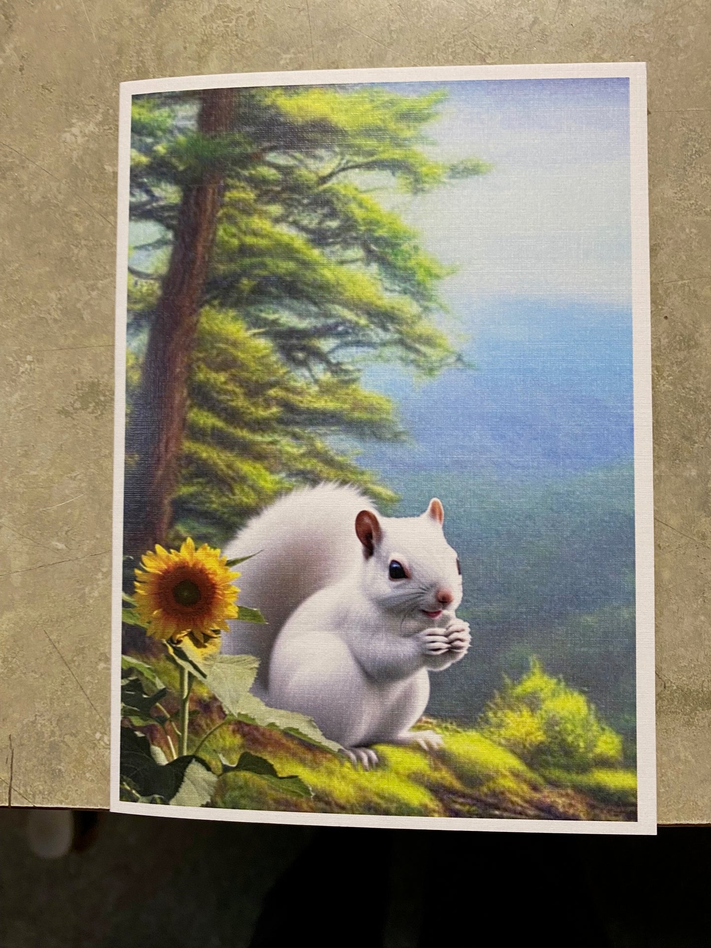 Notecards - White Squirrel Notecards by Lorraine Skala