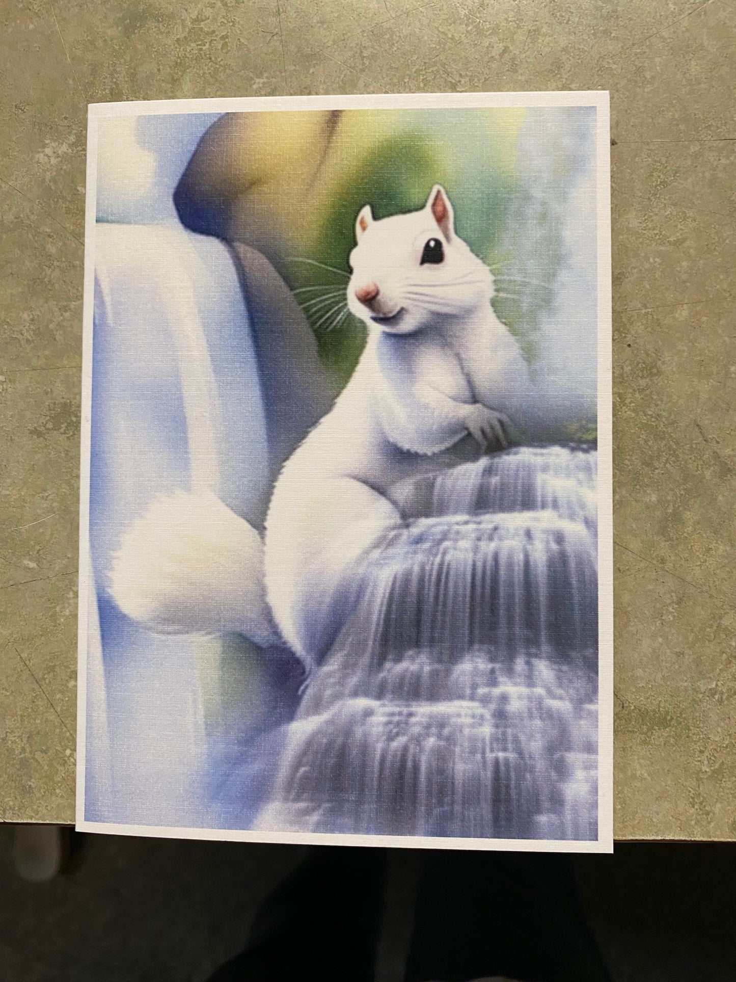 Notecards - White Squirrel Notecards by Lorraine Skala
