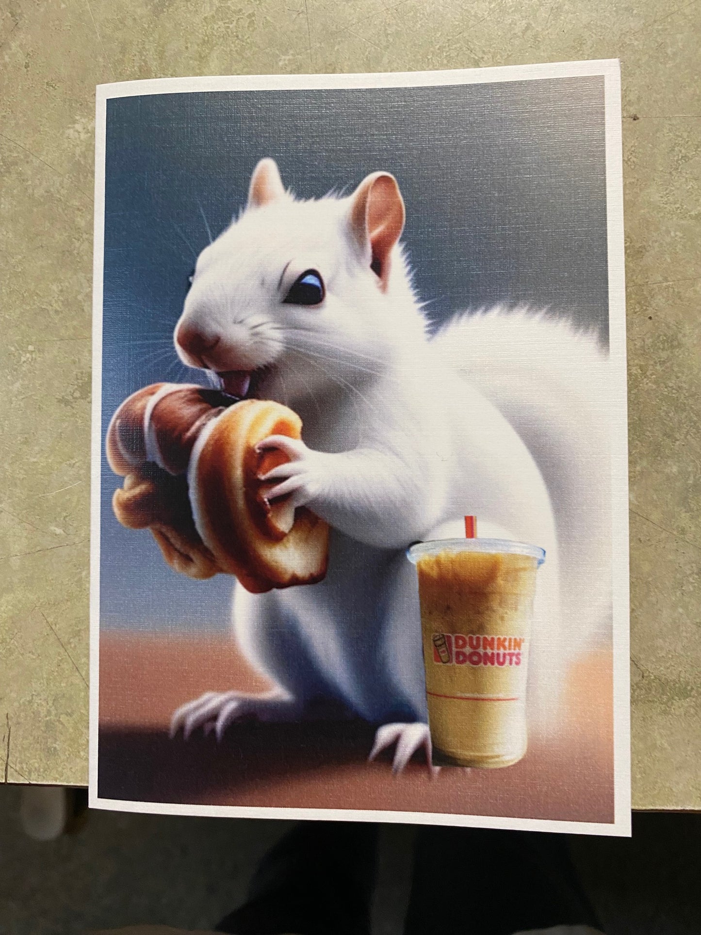 Notecards - White Squirrel Notecards by Lorraine Skala