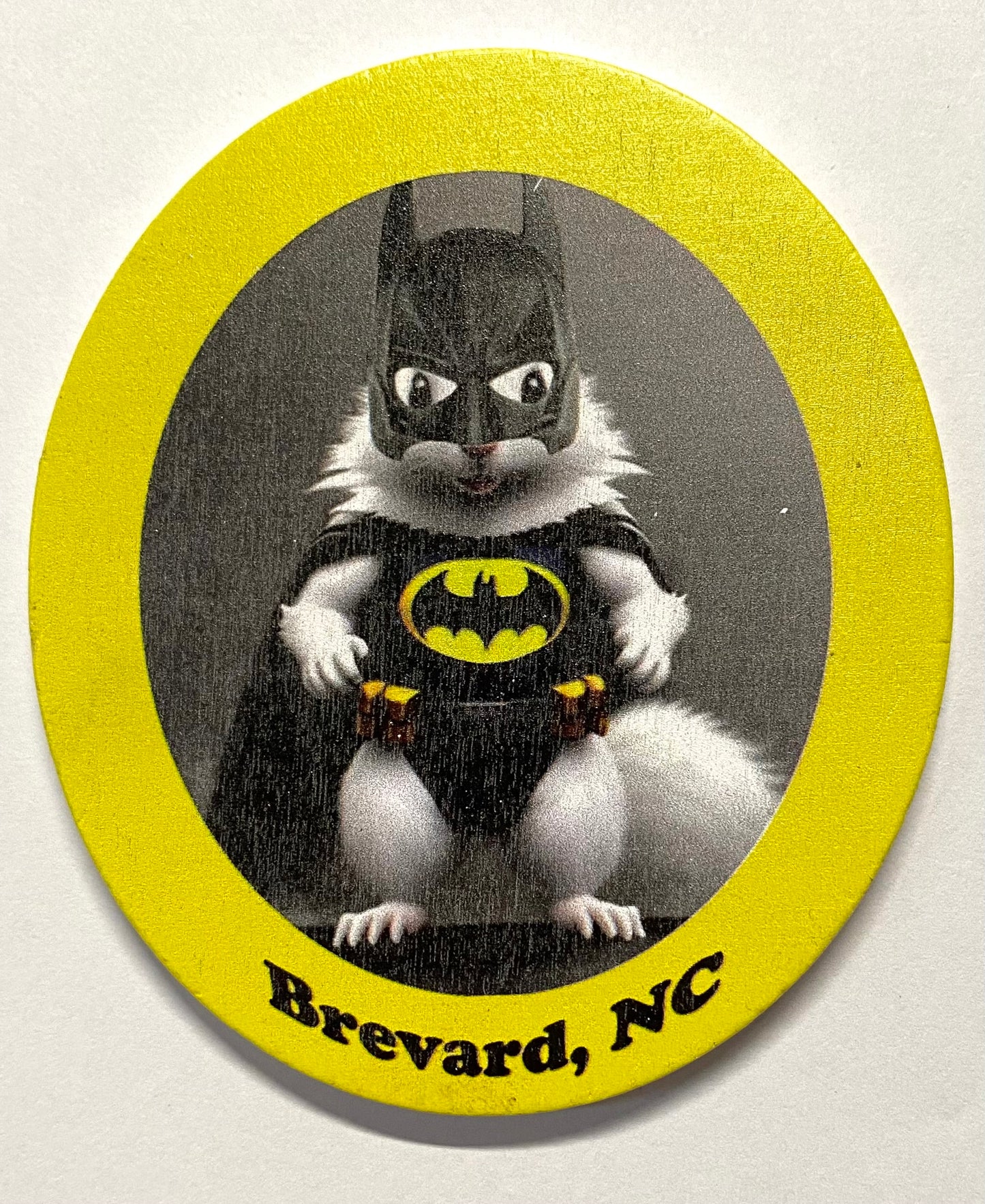 Magnet - Laser - Batman White Squirrel & Brevard, NC - Oval 4" x 3-1/2"