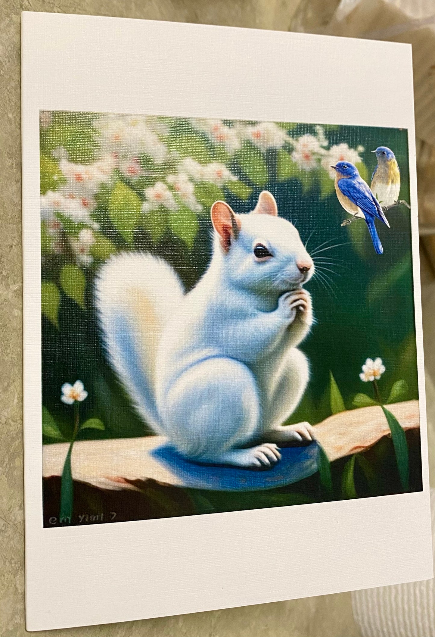 Notecards - White Squirrel Notecards by Lorraine Skala