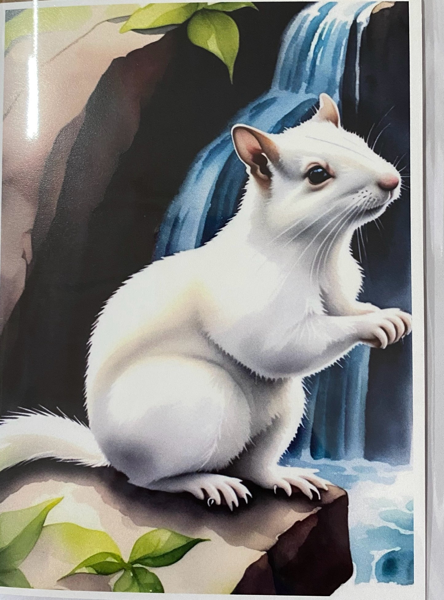 Notecards - White Squirrel Notecards by Lorraine Skala