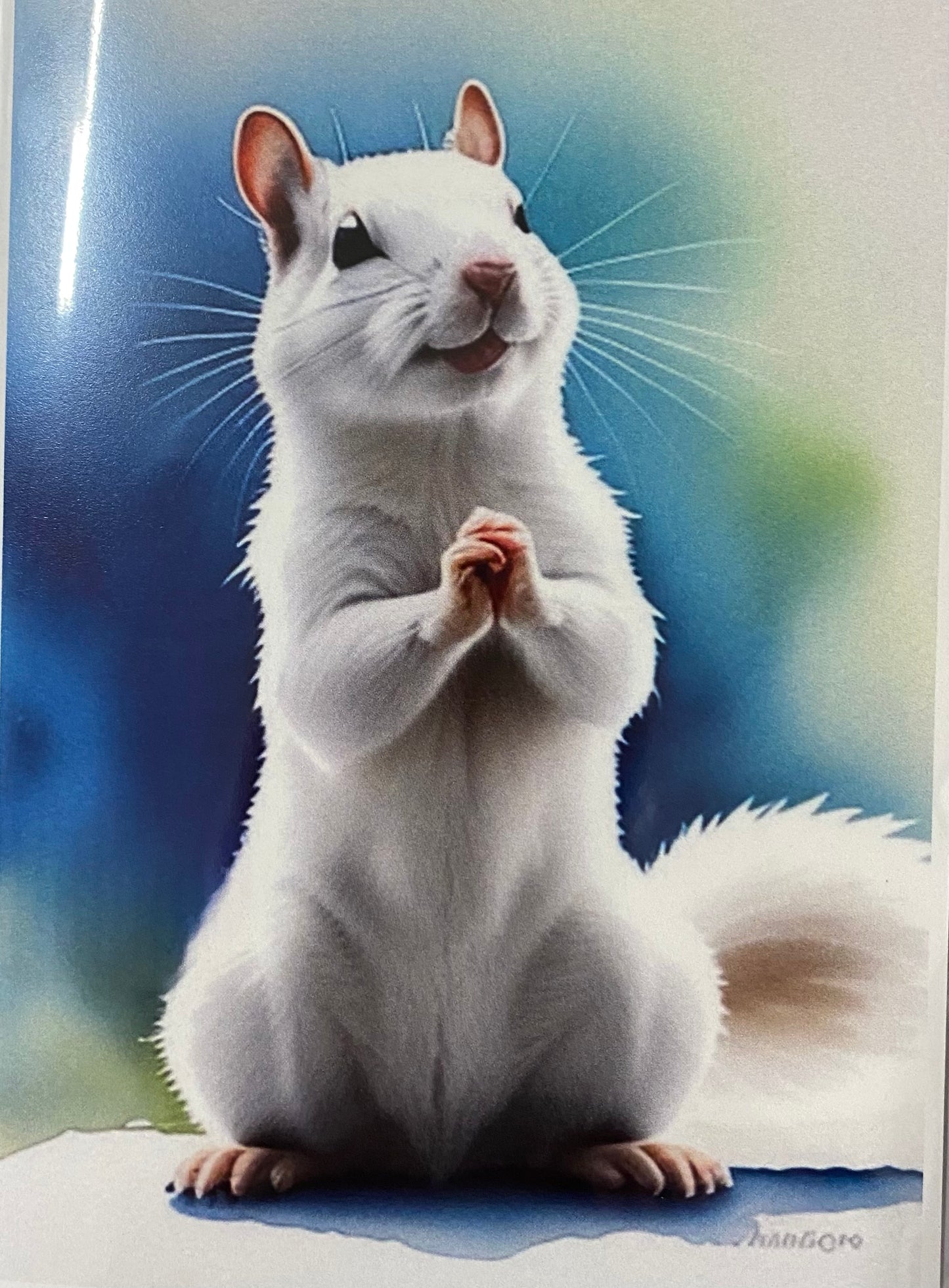 Notecards - White Squirrel Notecards by Lorraine Skala