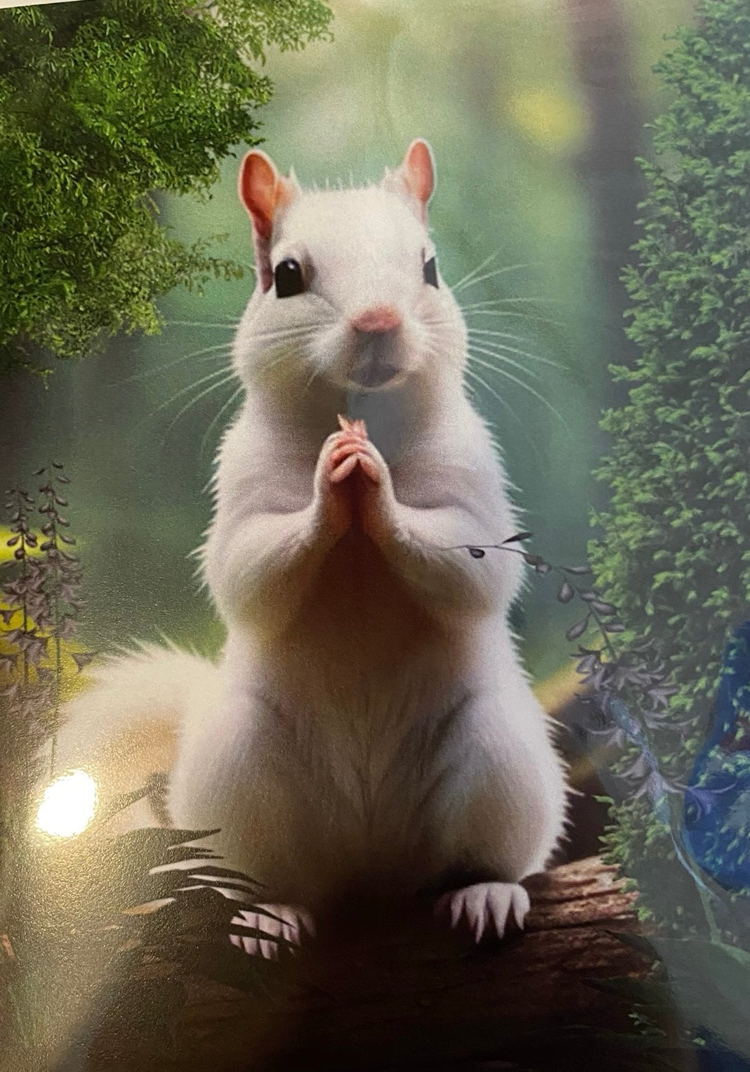 Notecards - White Squirrel Notecards by Lorraine Skala