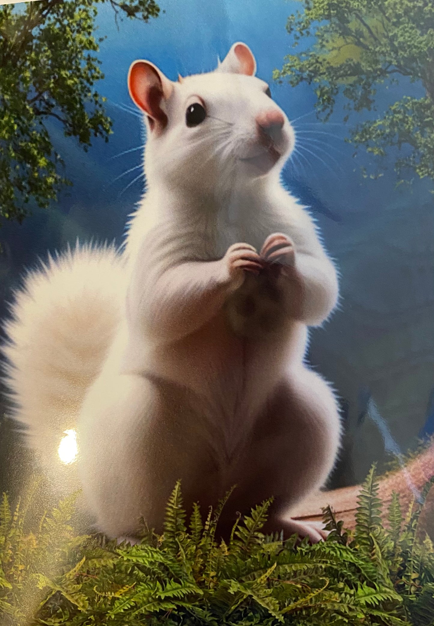 Notecards - White Squirrel Notecards by Lorraine Skala
