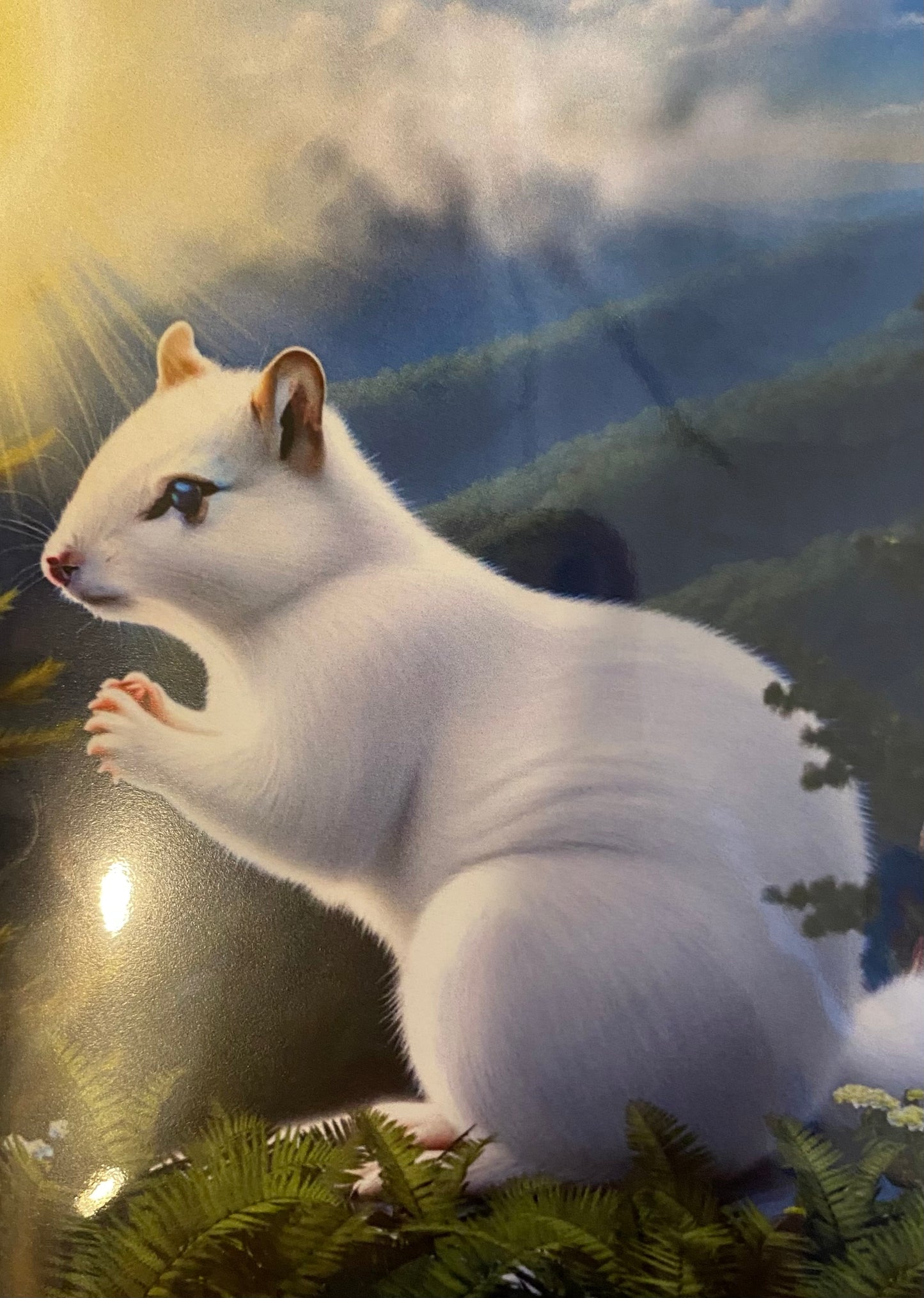 Notecards - White Squirrel Notecards by Lorraine Skala