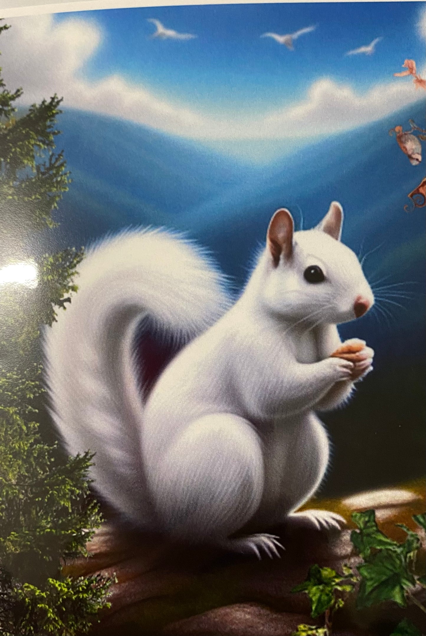 Notecards - White Squirrel Notecards by Lorraine Skala