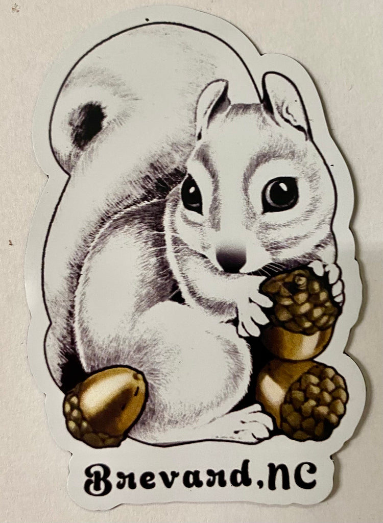 Magnet - Vinyl - Cute White Squirrel Holding Acorns