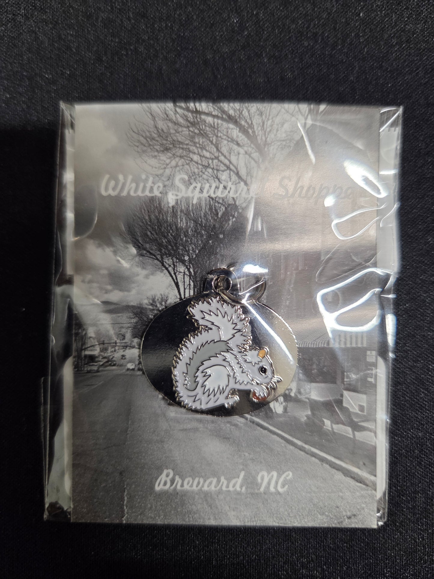 Pendant - Metal - White Squirrel with or without background - Oval