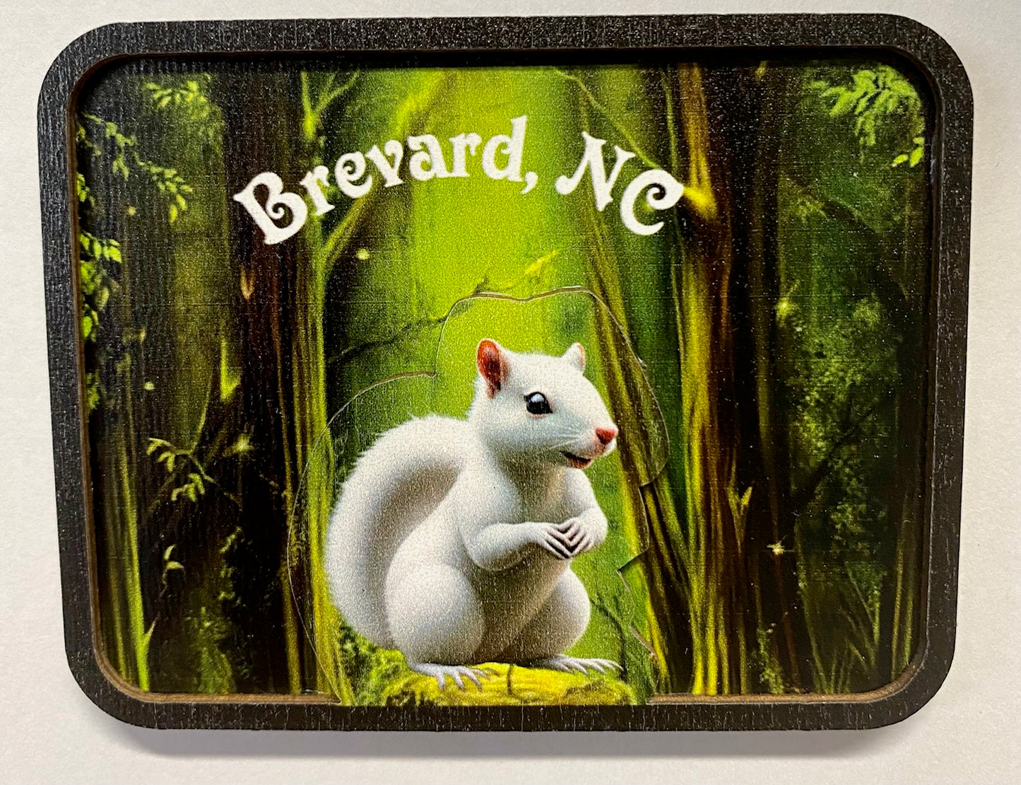 A wooden magnet with a three-dimensional depiction of a white squirrel in a green forest setting, with the text 'Brevard, NC' on it.