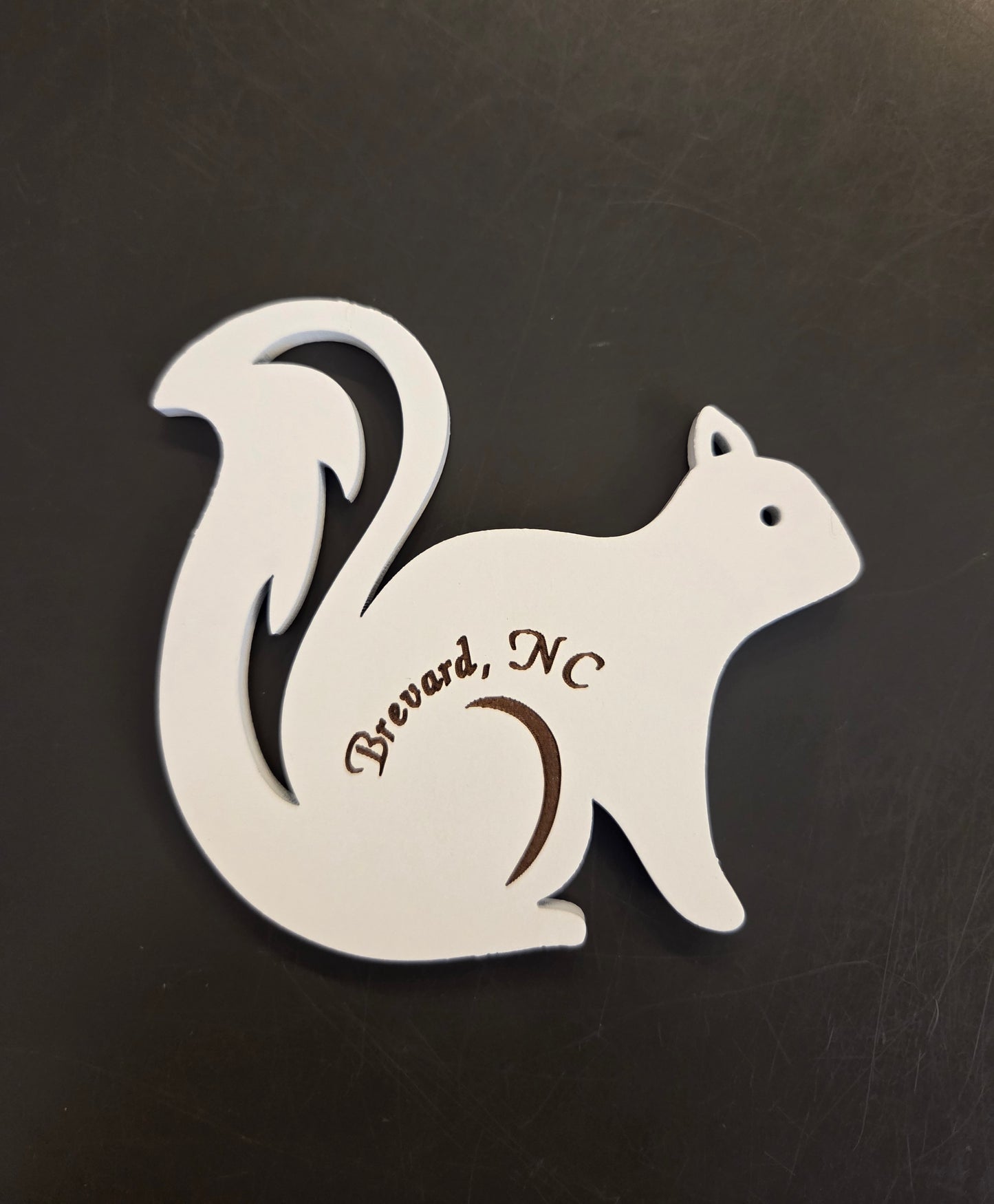 Magnet - Laser - Hollow-Tail White Squirrel with Brevard, NC 4"