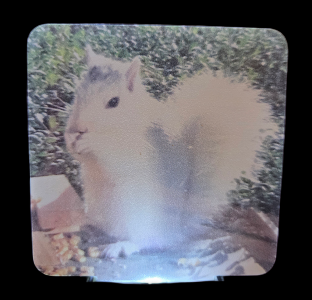 Night Lights - Custom Made for Our Shoppe - White Squirrels, Black Bats and Looking Glass Falls
