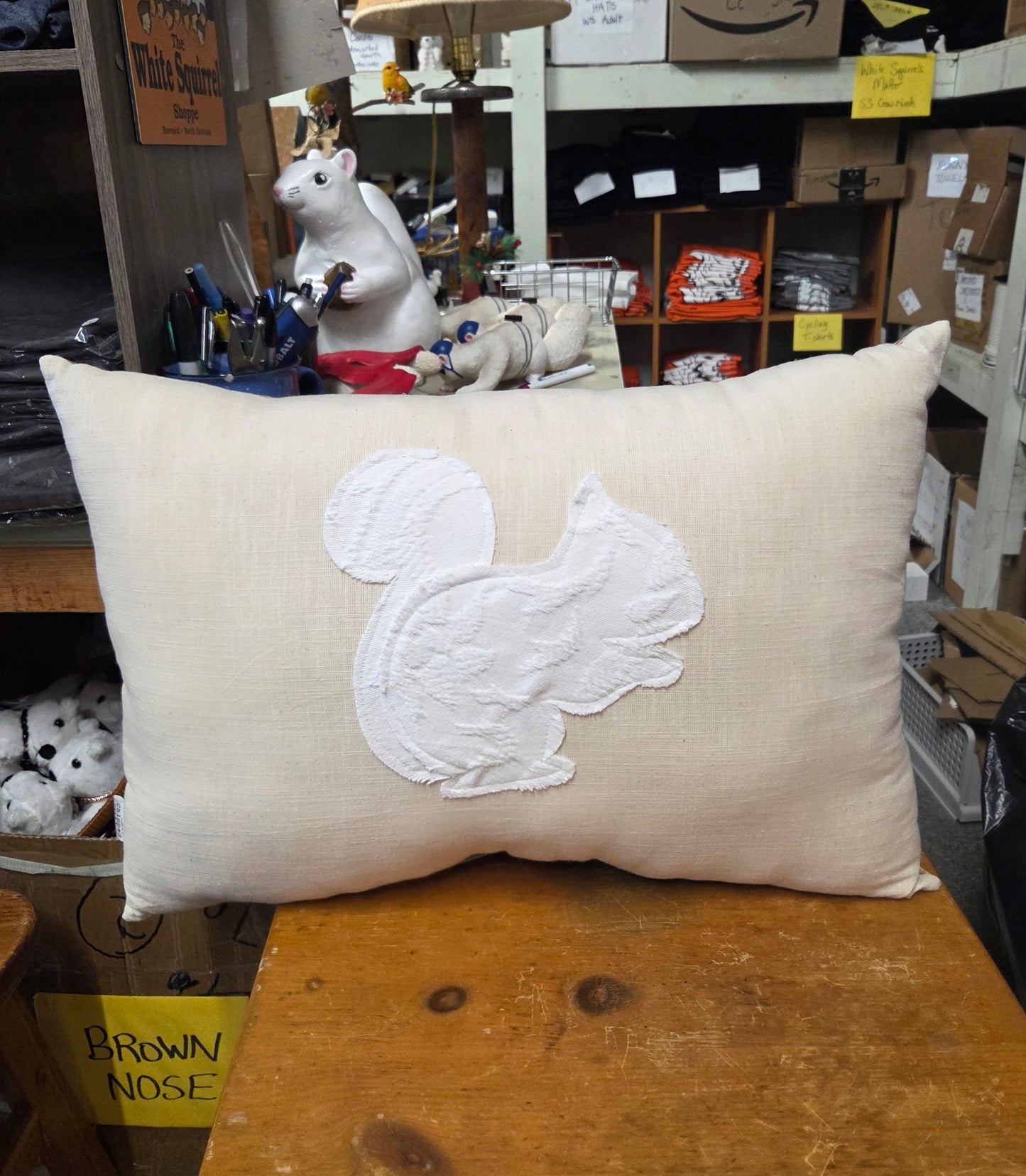 Pillows - White Squirrel Throw Pillows for Couch, Bed, Rental Units