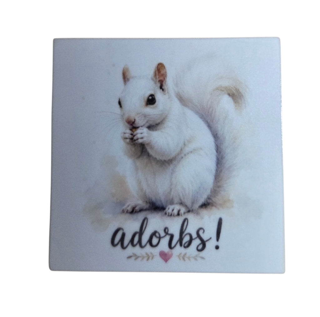 Decal/Sticker - White Squirrel "Adorbs" - 2" Square Mini