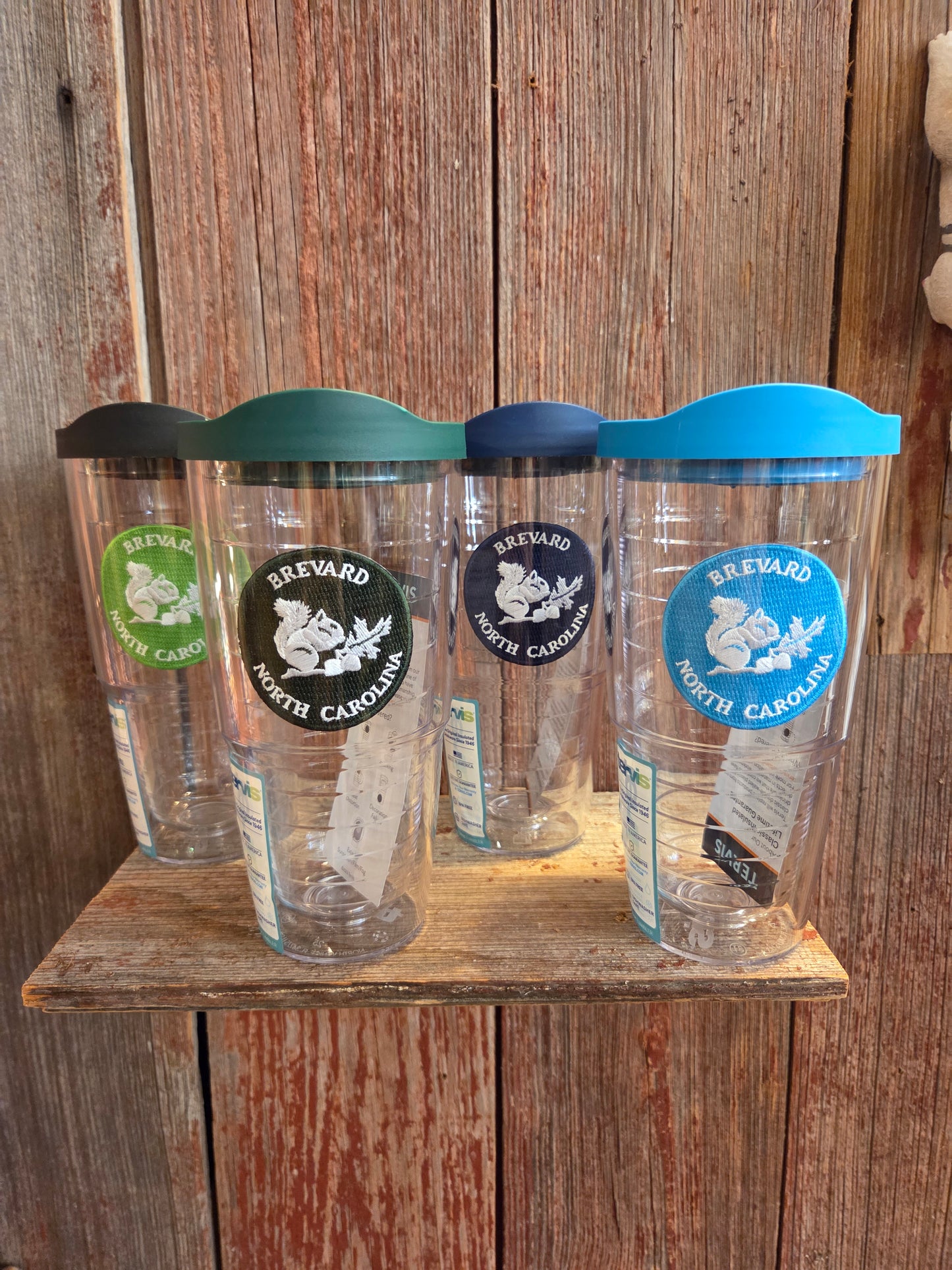Drinkware - White Squirrel Tervis Tumbler 24oz - Brevard NC Exclusive Design