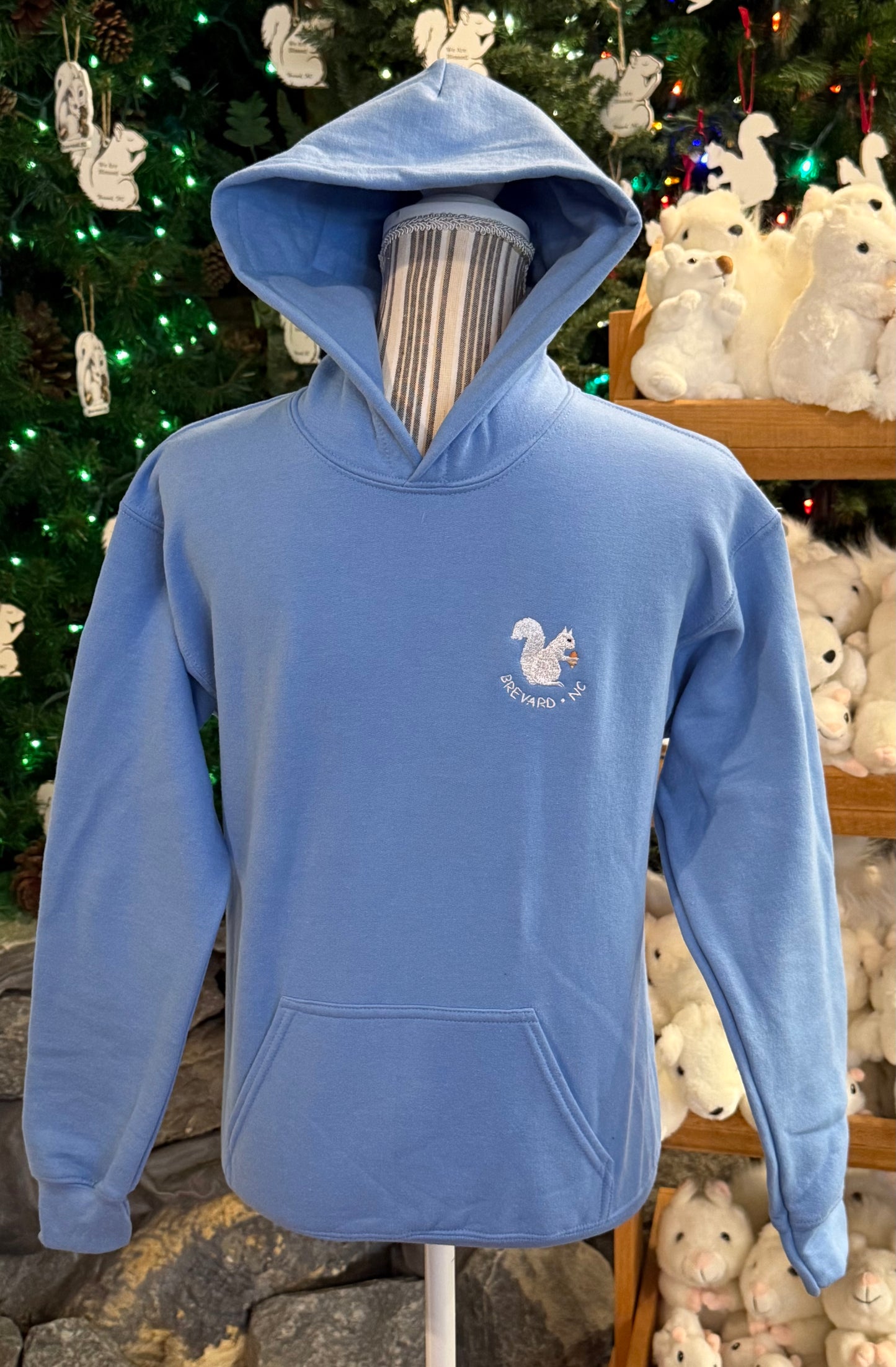 T-Shirt - Hoodie - Kids - Youth - Embroidered Logo - Heavy Blend - No-Zip in Carolina Bue and Cardinal Red Kids