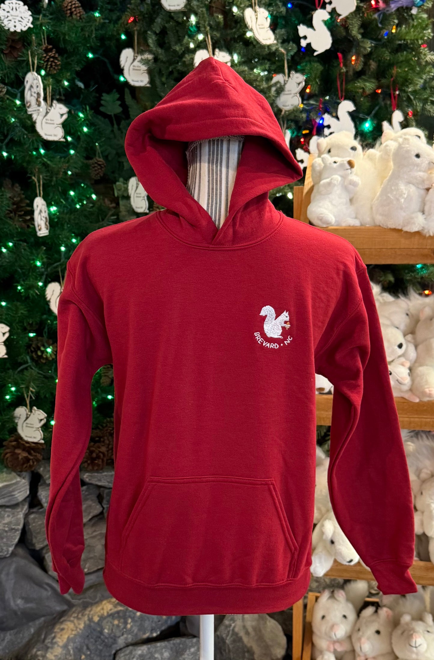 T-Shirt - Hoodie - Kids - Youth - Embroidered Logo - Heavy Blend - No-Zip in Carolina Bue and Cardinal Red Kids
