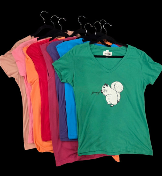 T-Shirt - Women's - Cute White Squirrel Center - Short Sleeve V-Neck in Assorted Bright Colors