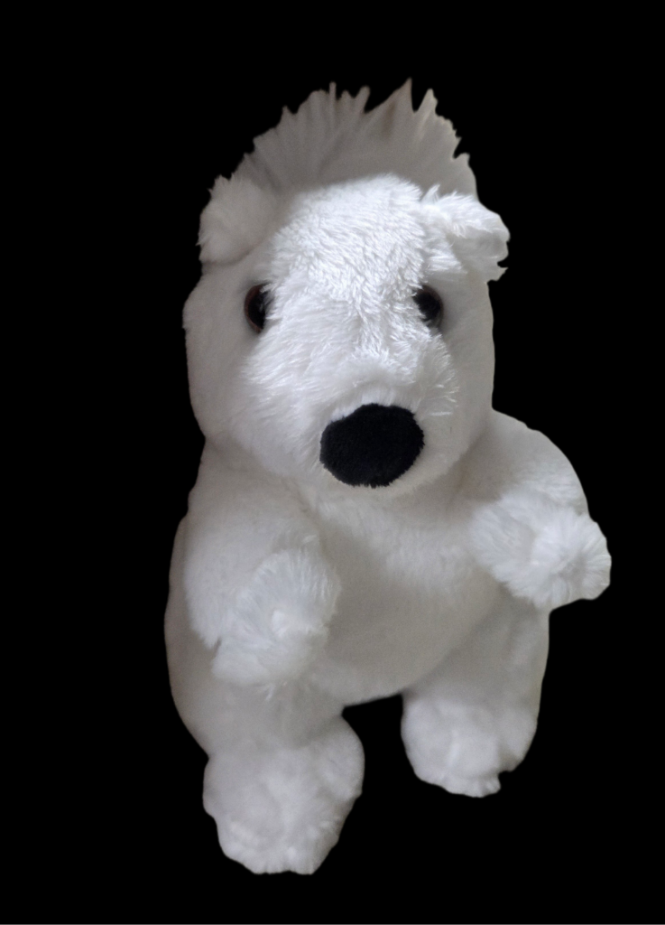 edium white squirrel stuffed animal with black nose and fluffy tail