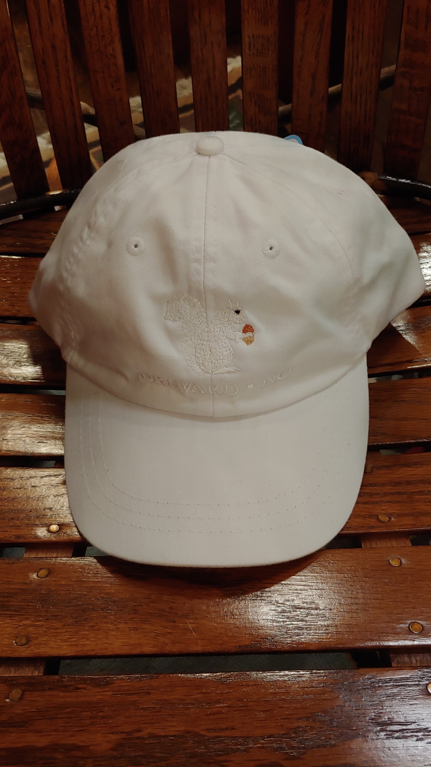 White Squirrel embroidered baseball cap from Brevard NC in white color