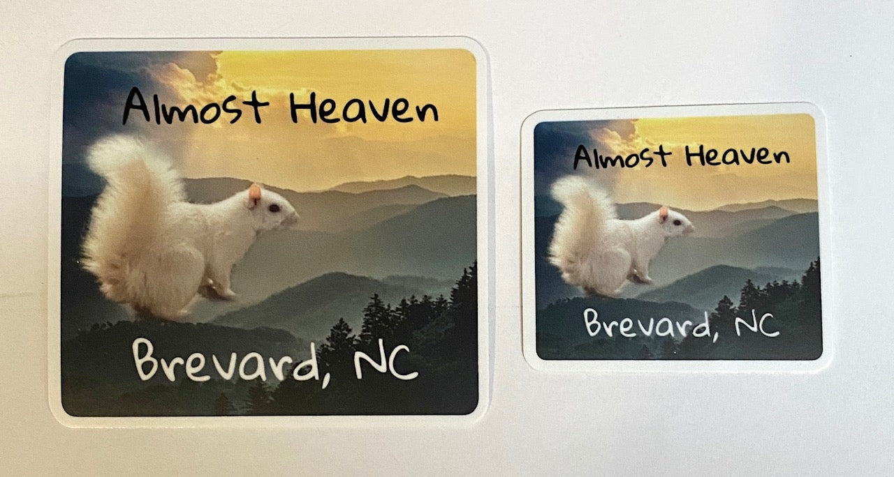 Two square decals with the text 'Almost Heaven, Brevard, NC' and an image of a white squirrel over looking mountains.