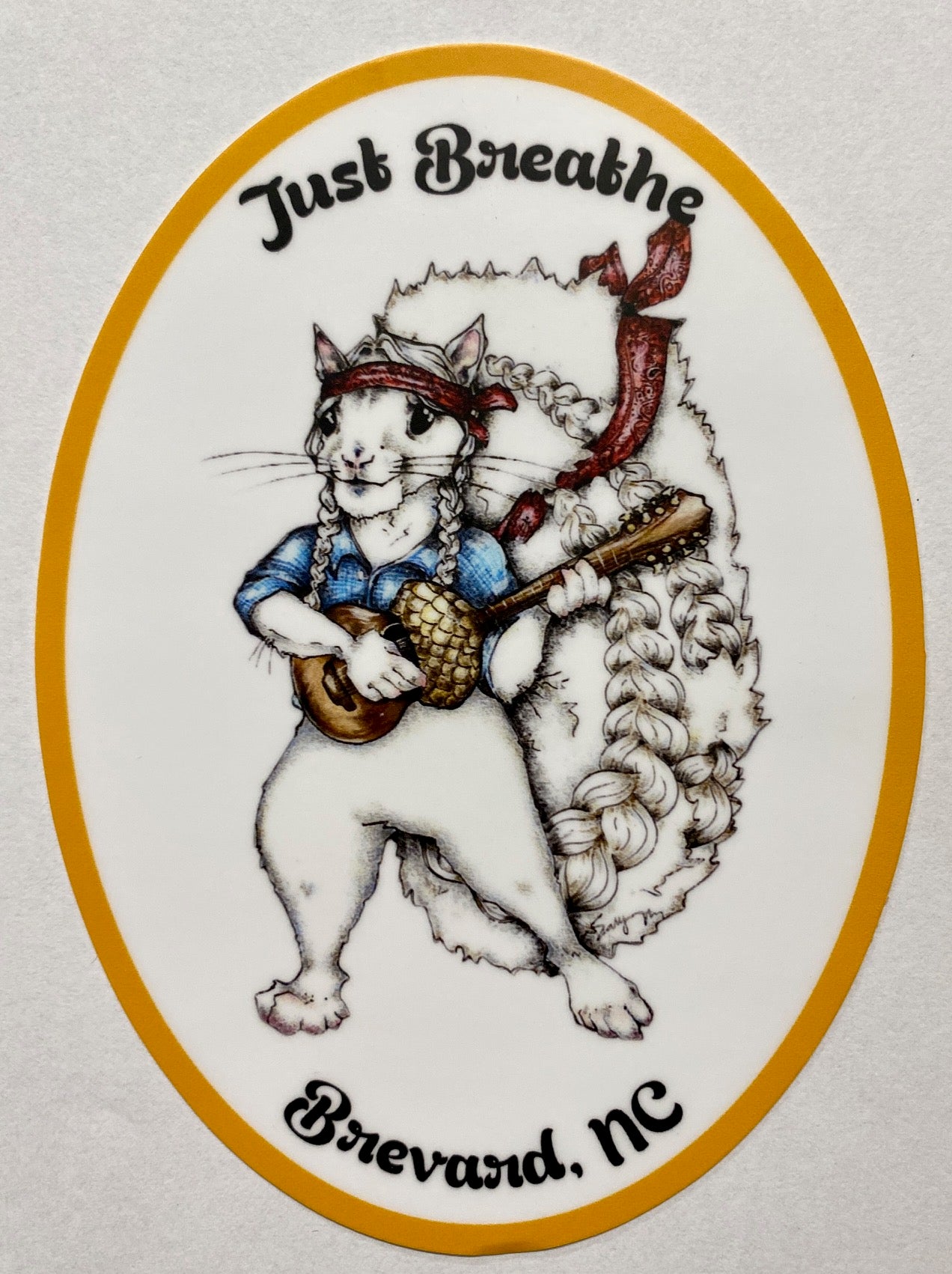Oval-shaped decal featuring a cartoon illustration of a white squirrel wearing a bandana, playing a guitar, with the text 'Just Breathe' and 'Brevard, NC'.