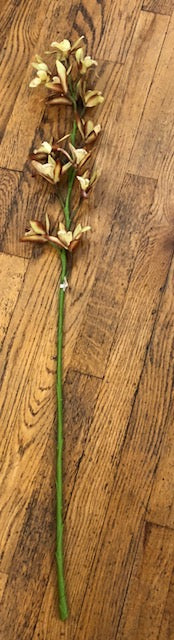 Stem - 16" Flowering Dendrobium Orchid With 21" Stem