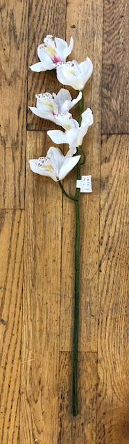 Stem - 22" Cream Cymbidium Spray