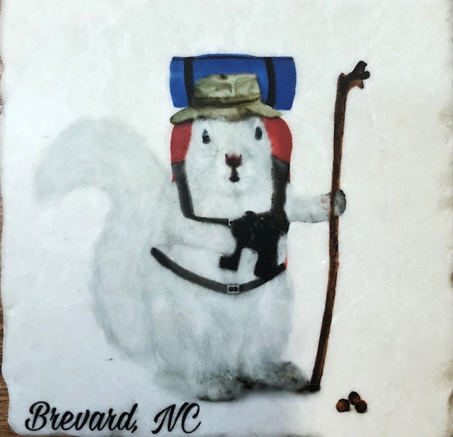 Magnet - Tile - White Squirrel Sports & Hobby Enthusiasts