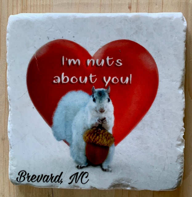 Coasters - Tile - White Squirrel Sport and Hobby Enthusiasts