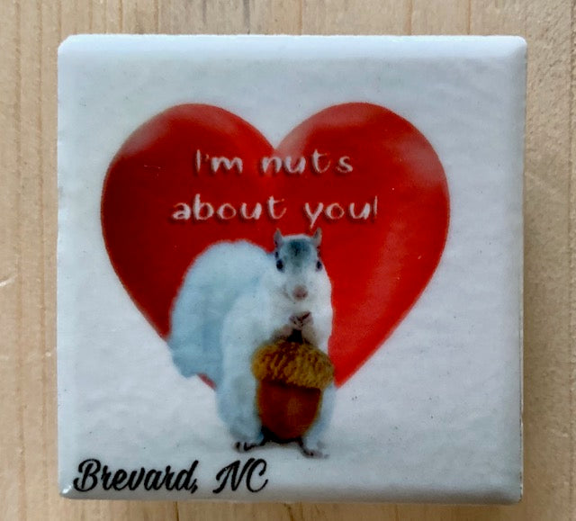 Magnet - Tile - White Squirrel Sports & Hobby Enthusiasts