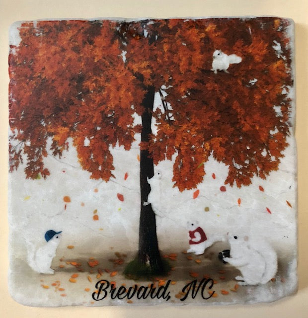 Coasters - Tile - White Squirrel Sport and Hobby Enthusiasts