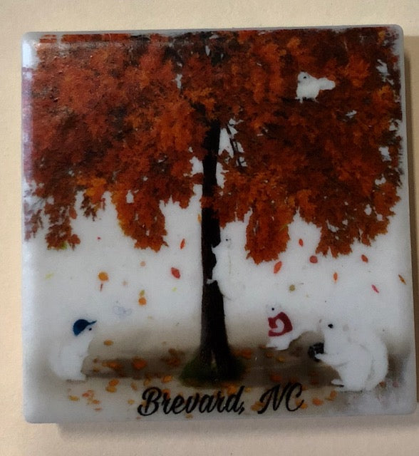 Magnet - Tile - White Squirrel Sports & Hobby Enthusiasts