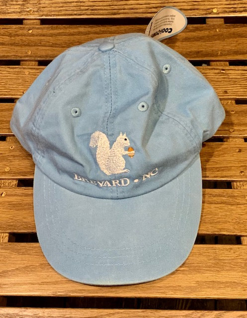 White Squirrel embroidered baseball cap from Brevard NC in baby blue color