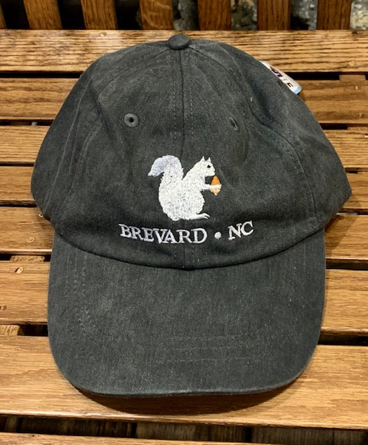 White Squirrel embroidered baseball cap from Brevard NC in charcoal black color