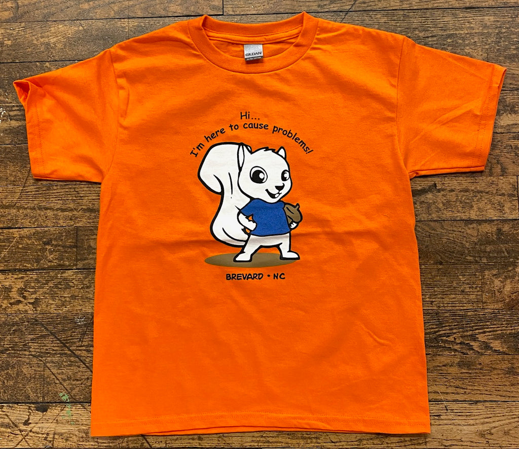 T-shirt - For Youth - Short Sleeve Crew Neck with "Hi, I'm Here to Cause Problems.....Brevard, NC"
