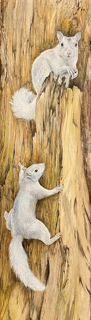 Art Print - White Squirrel Art Print by Lori Vogel.