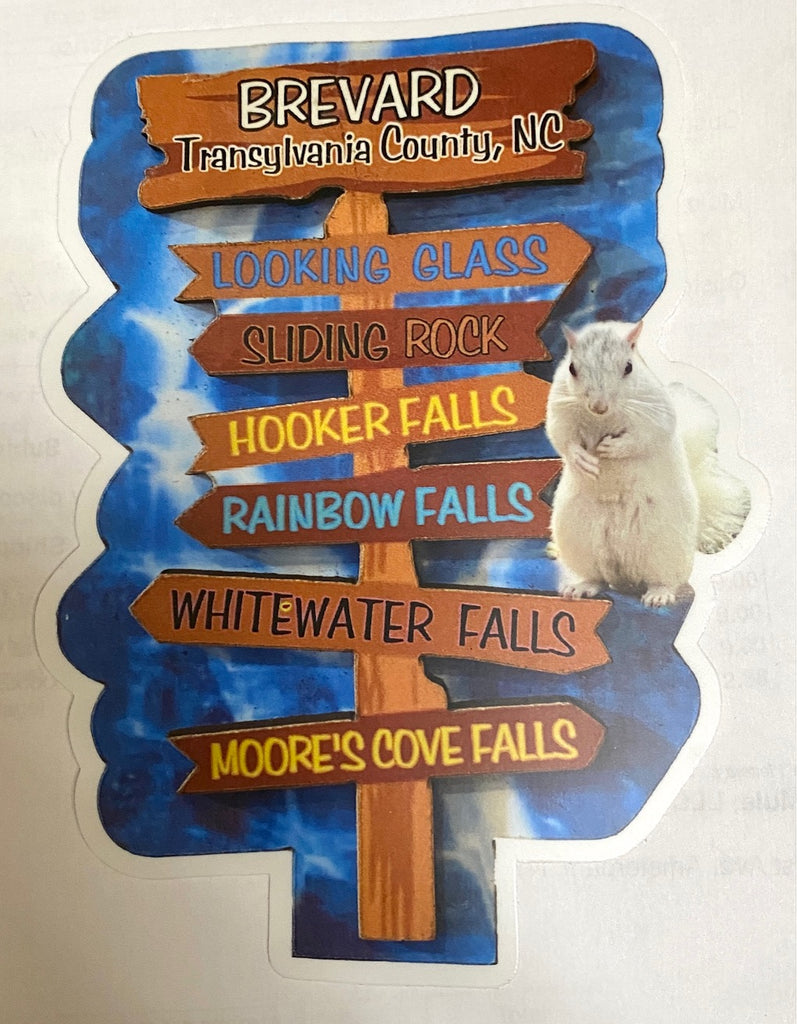 Decal/Sticker - Signpost of Brevard Waterfalls with White Squirrel - Large Die-Cut