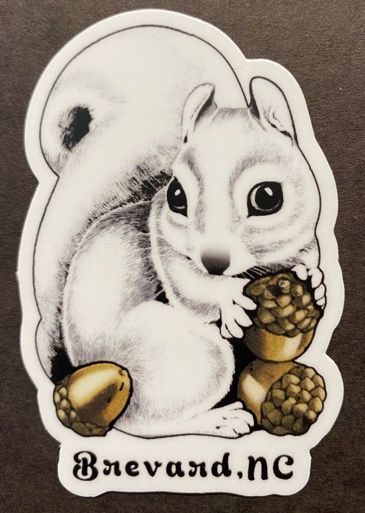 Decal - Mini Vinyl Waterproof Decal of a Die Cut White Squirrel Holding Acorns
