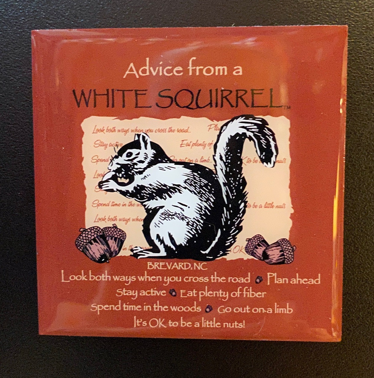 A square magnet with an illustration of a white squirrel and advice phrases around it.