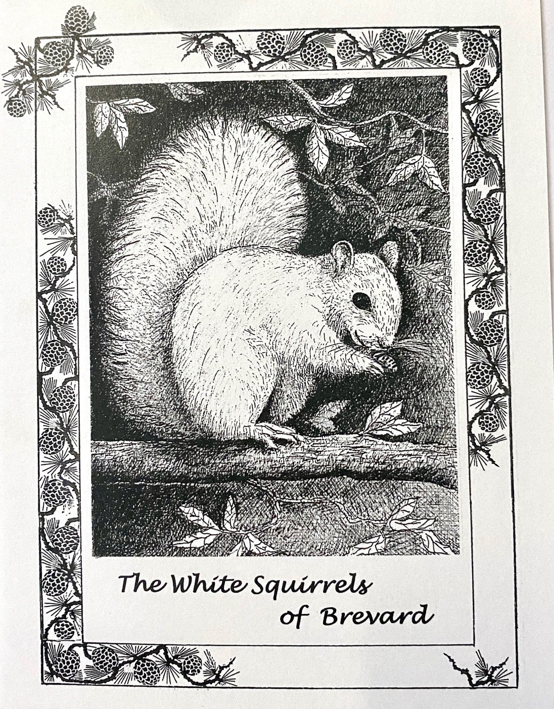This white squirrel in black and white on a notecard is stunning. Drawing by Lee Pantas.
