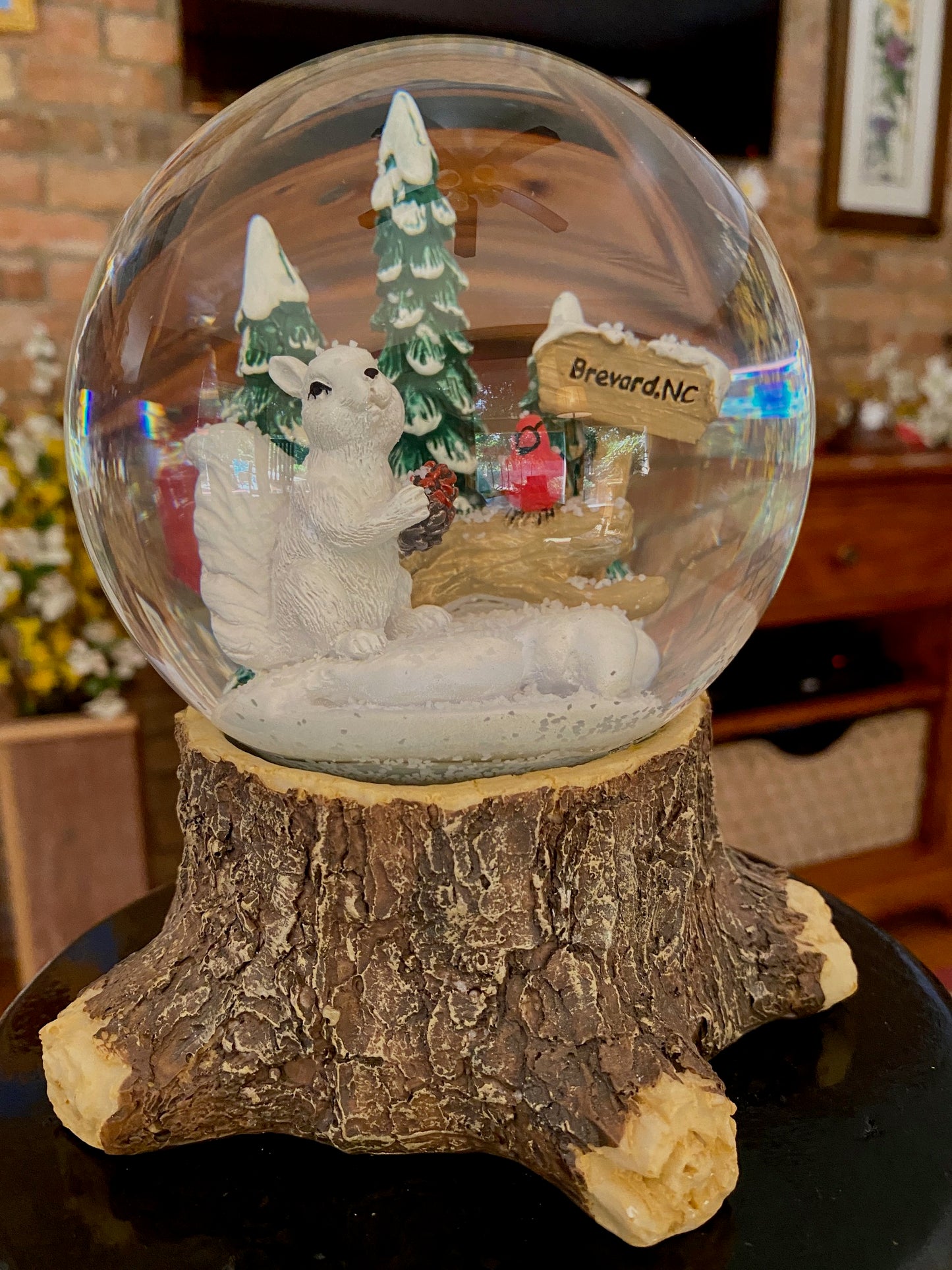 Snow globe with a white squirrel, red cardinal, and Brevard, NC sign post set on a tree trunk. Alternate image