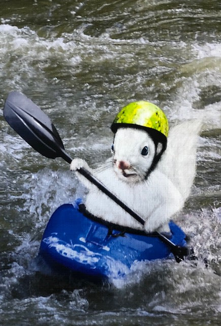 Coasters - Tile - White Squirrel Sport and Hobby Enthusiasts